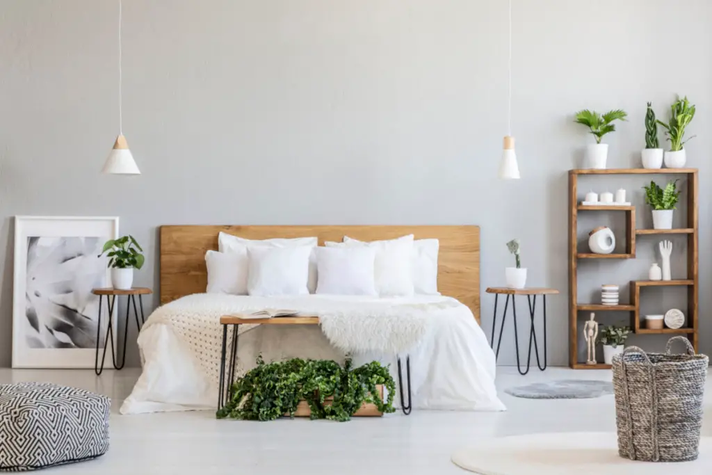 Reasons to Add Indoor Plants to the Bedroom - Pots Planters & More