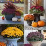 36 Fall Planters to Bring the Beauty of the Season to Your Landscape