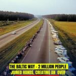 The Baltic Way: A Powerful Symbol of Unity and Freedom