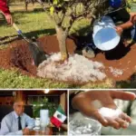 Transforming Rainwater into a Solid Resource