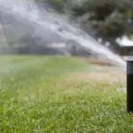 5 Signs Your Sprinkler System Needs Professional Repair