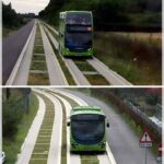 The Cambridgeshire Guided Busway: Revolutionizing Public Transport